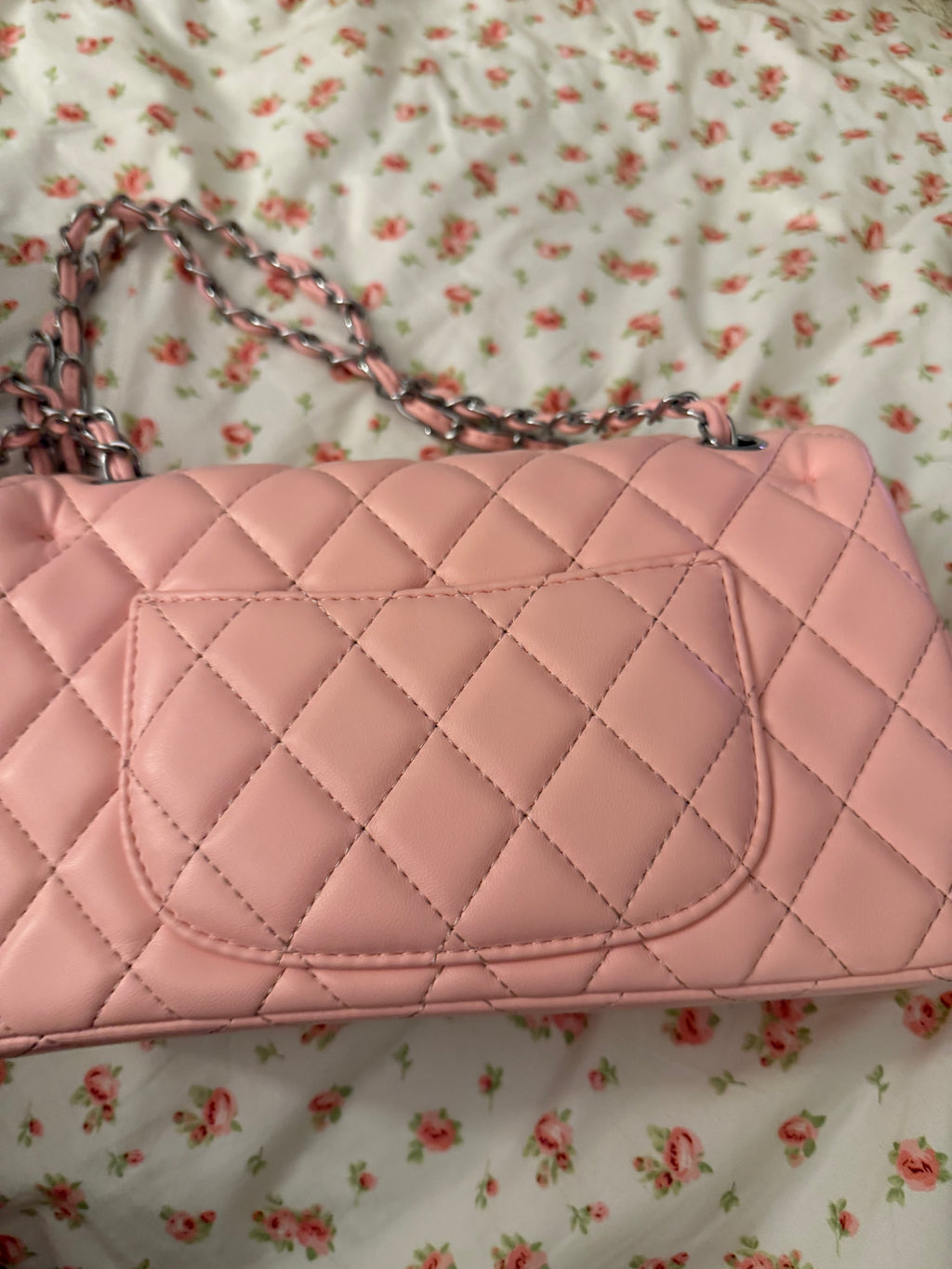 Pink Chanel Double Flap Purse
