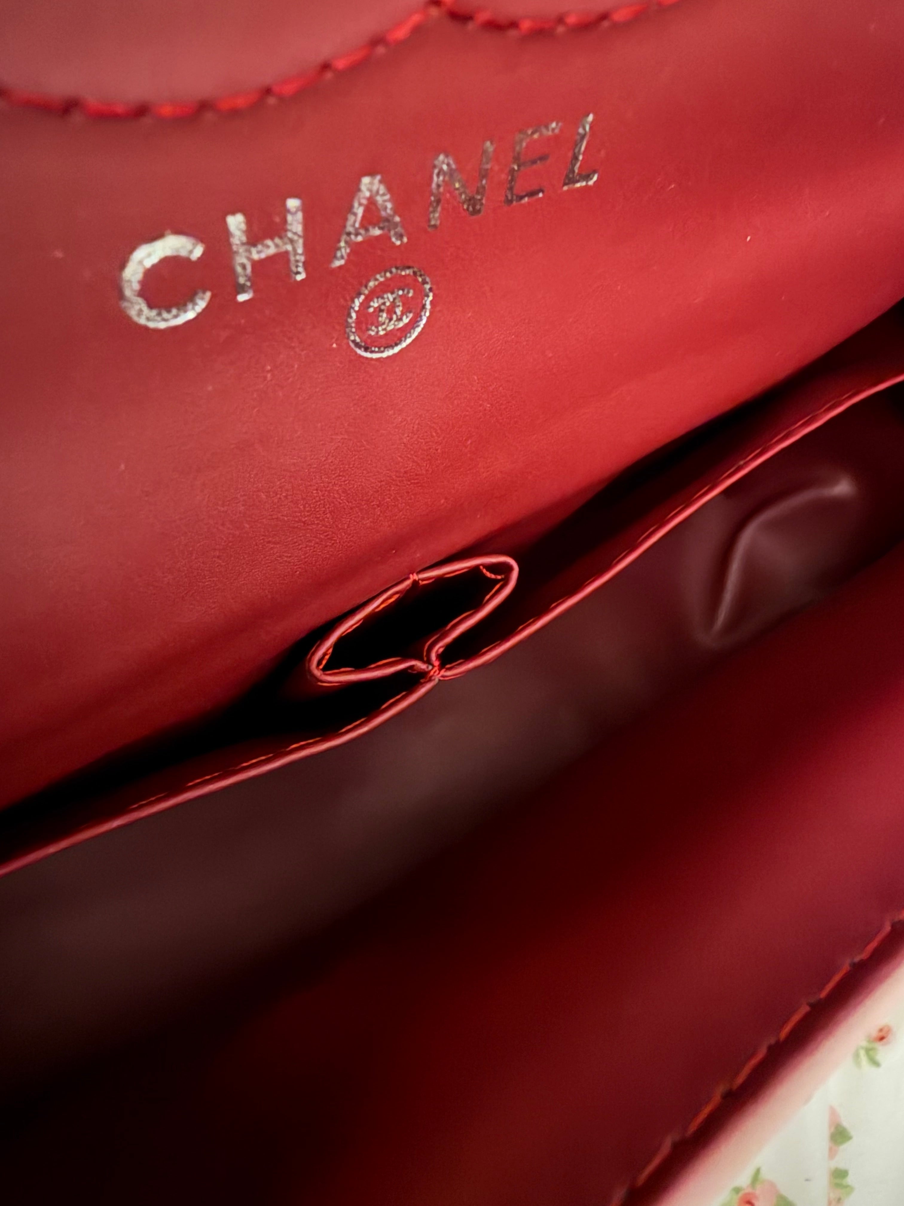 Pink Chanel Double Flap Purse